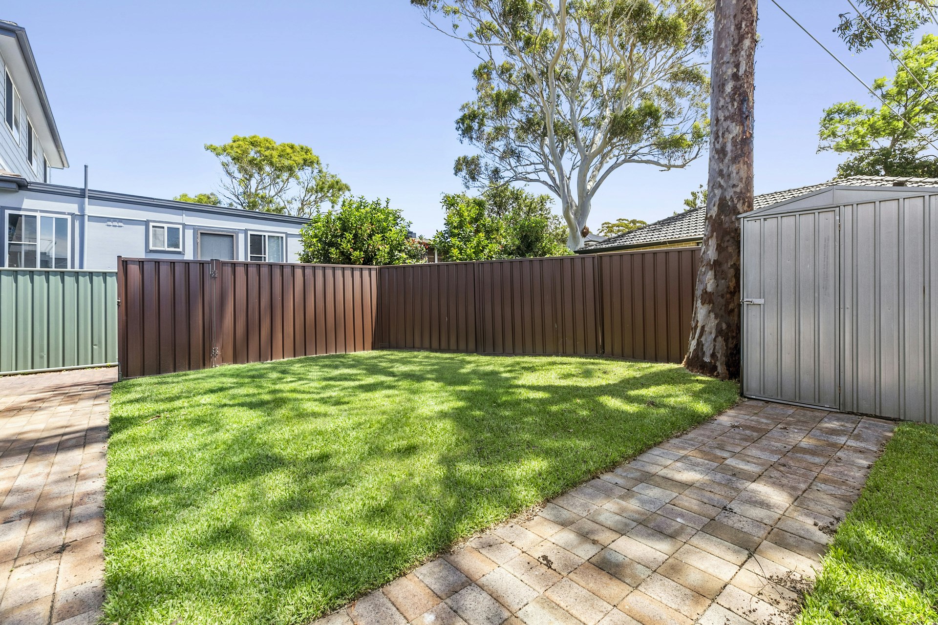 Image of backyard