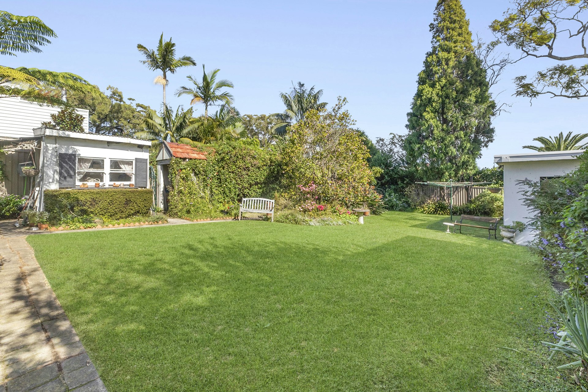 Image of grass