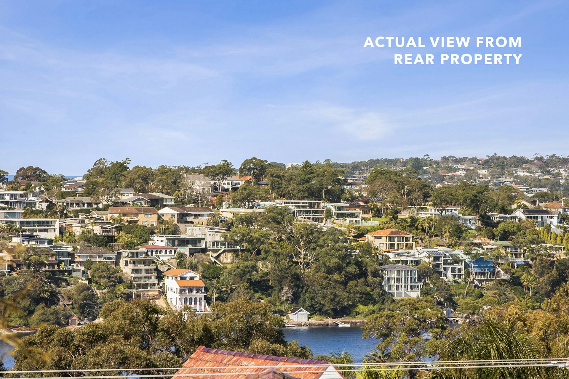 Image of neighborhood