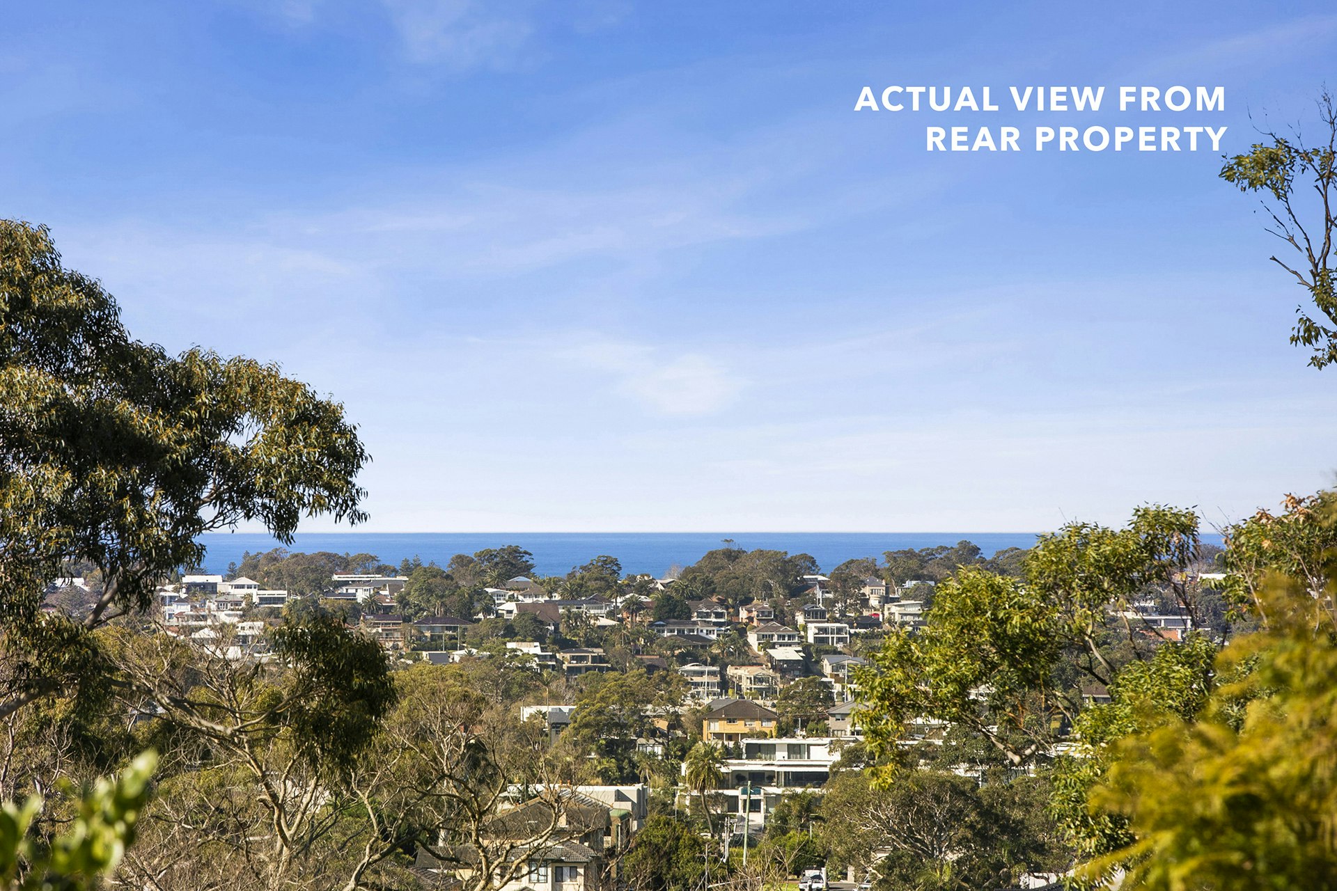 Image of neighborhood