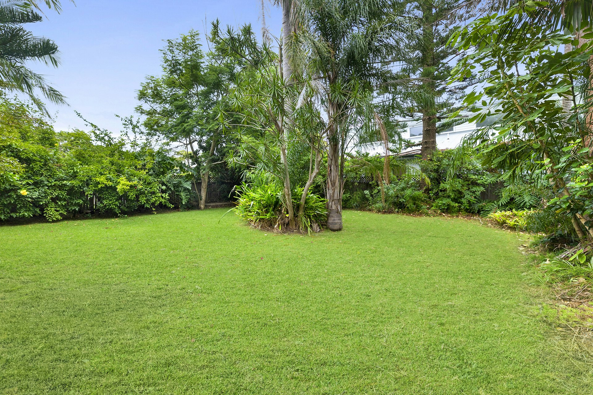 Image of grass