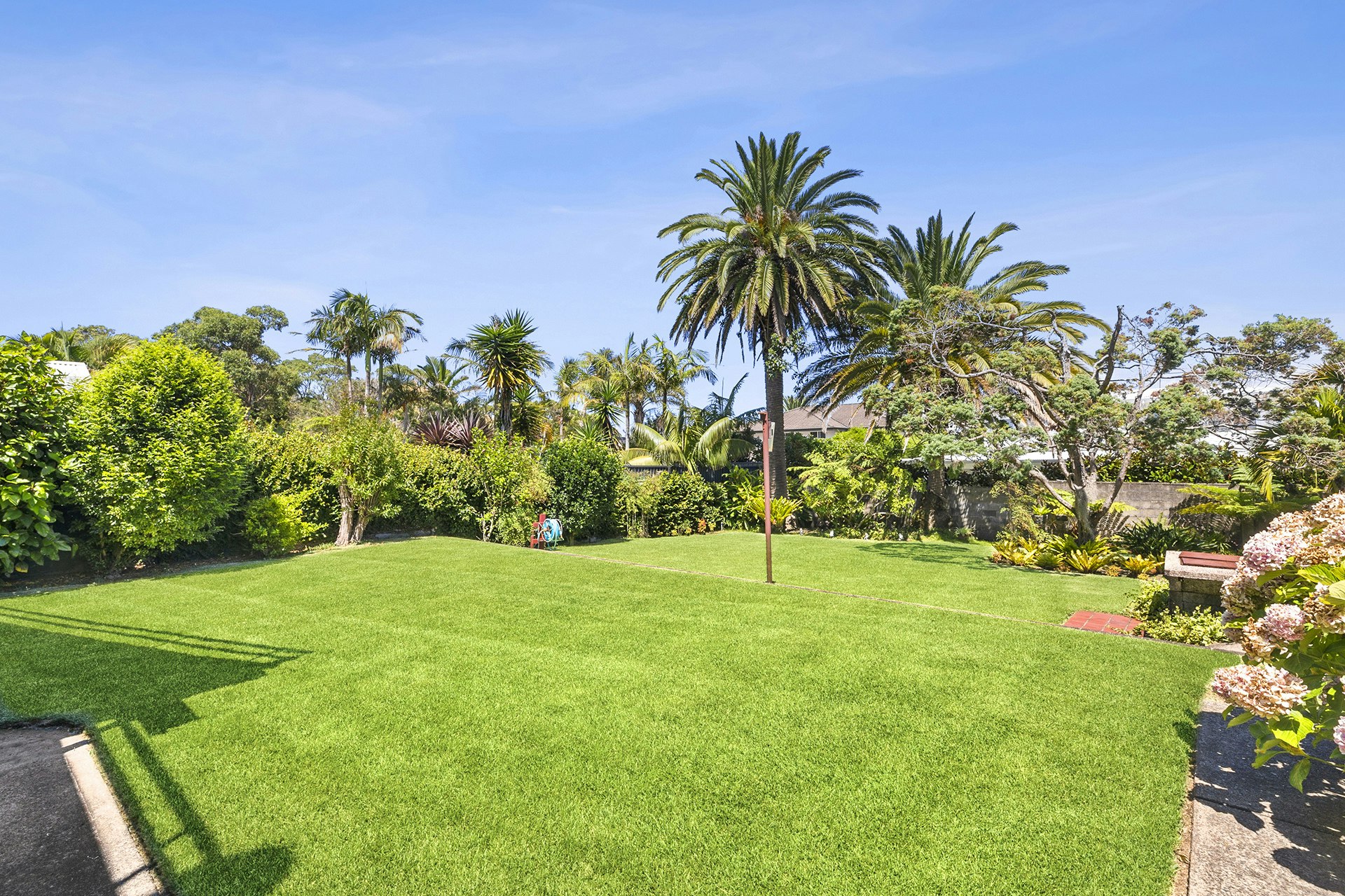 Image of grass