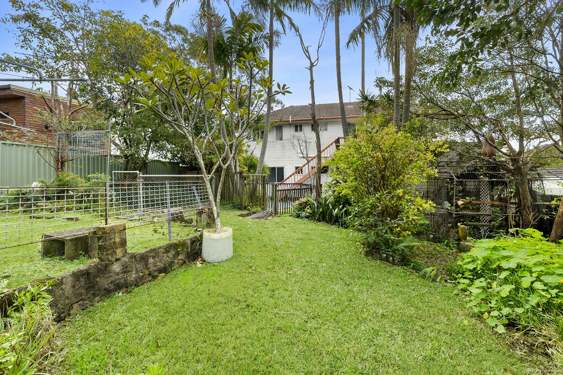 Image of backyard