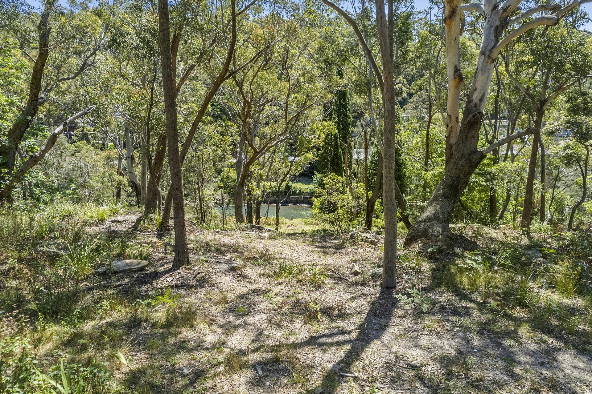 Image of grove