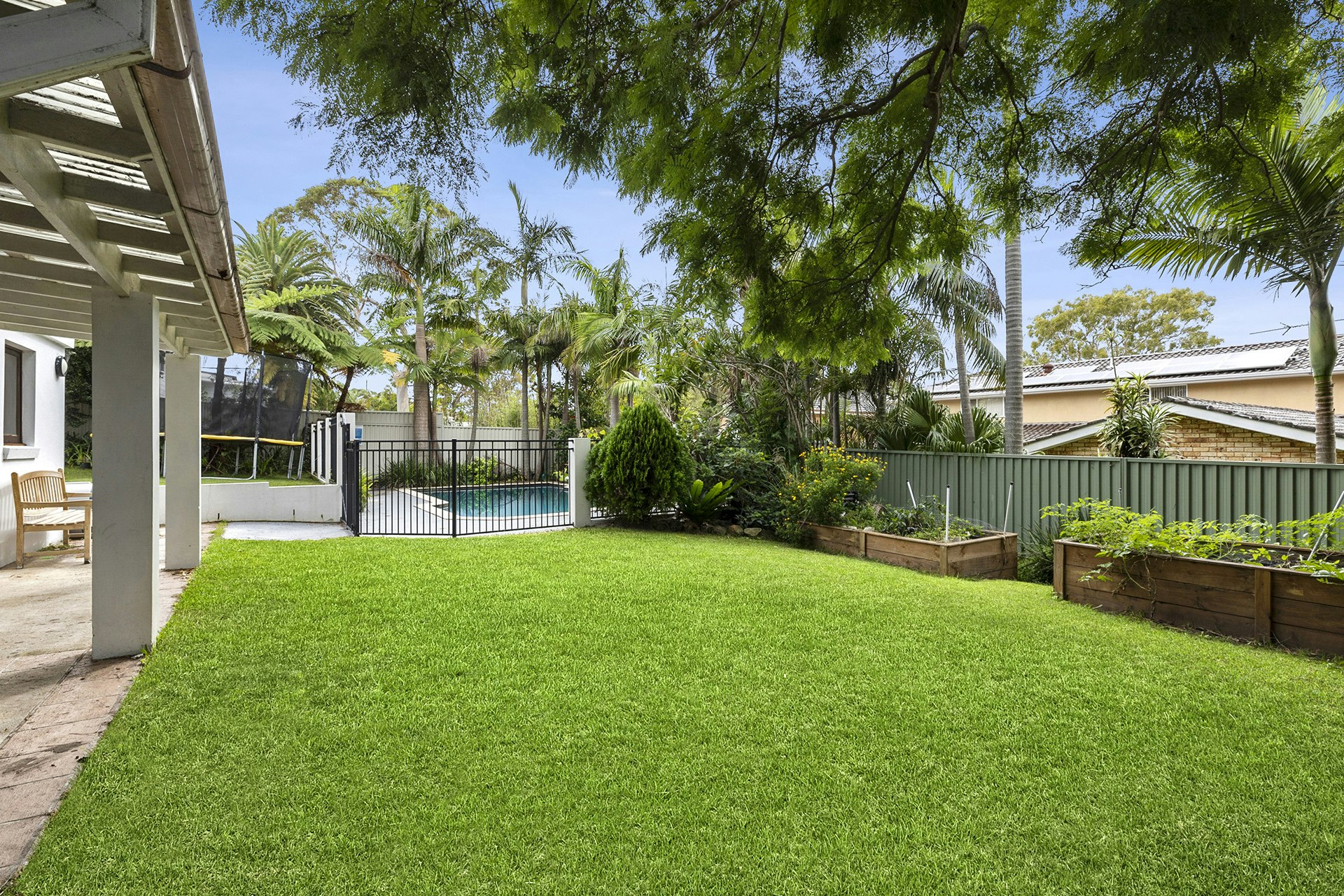 Image of backyard