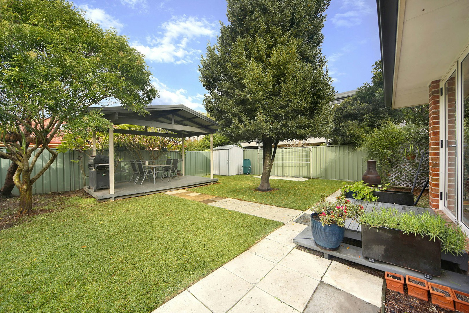 Image of backyard