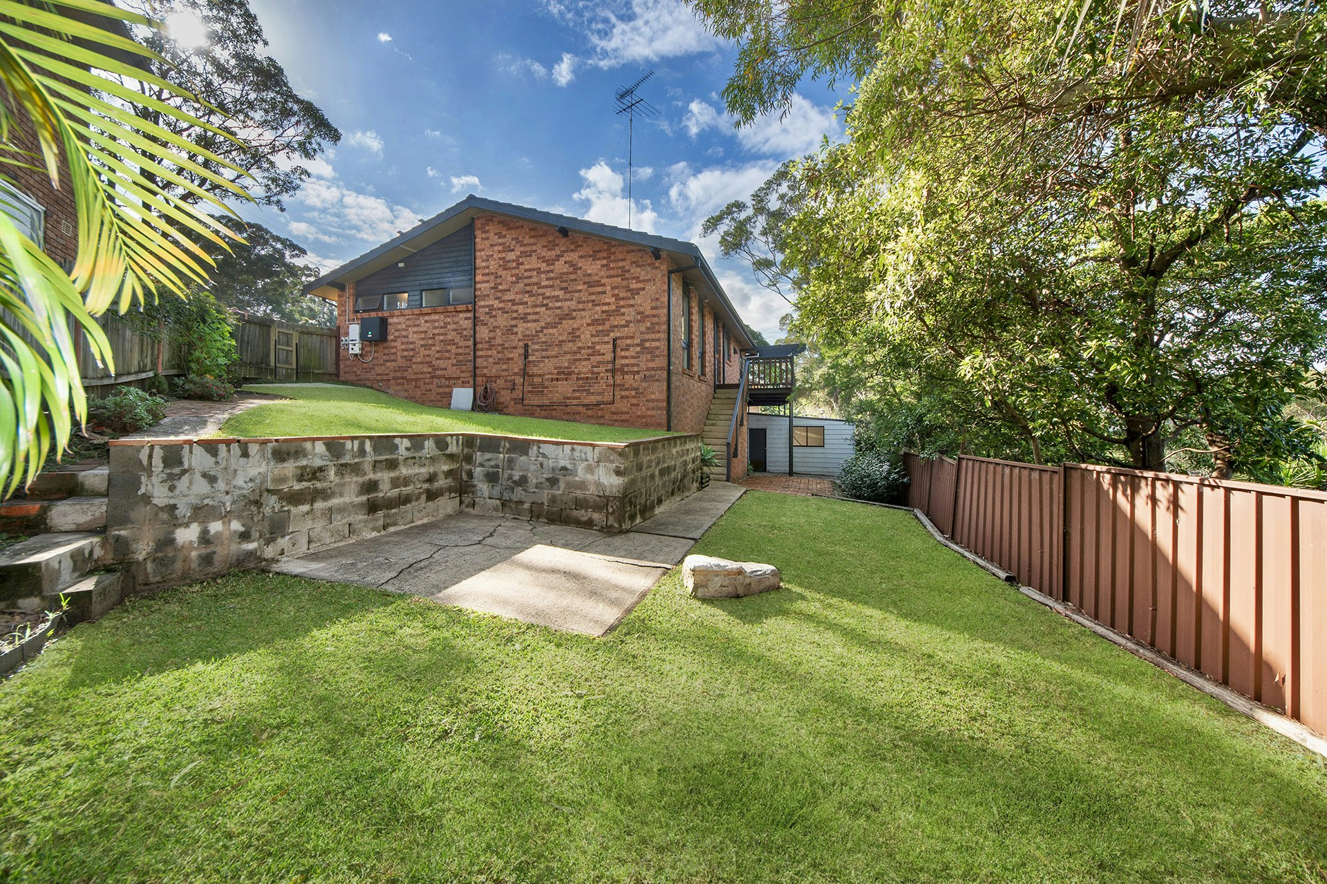 Image of backyard