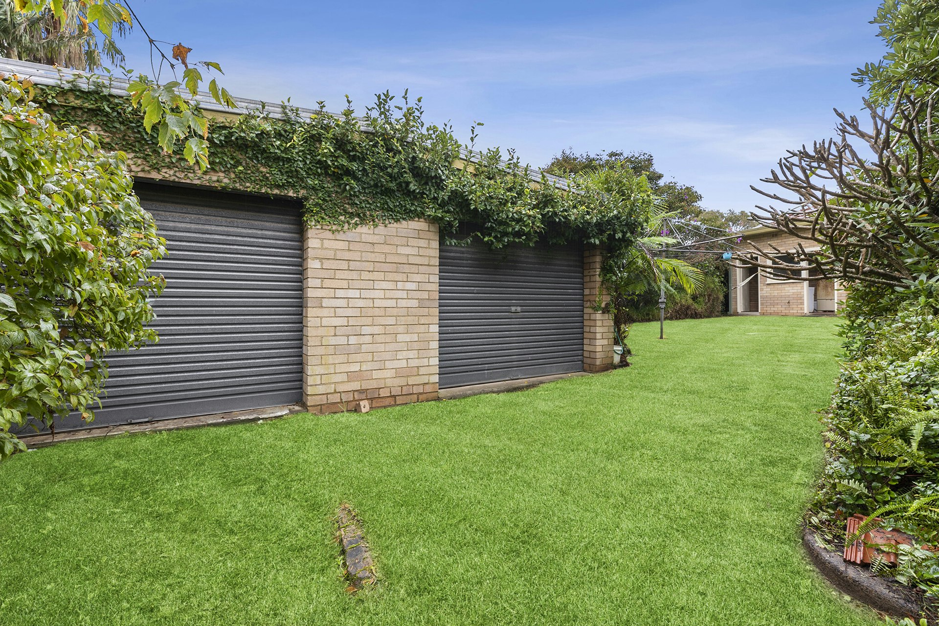 Image of backyard