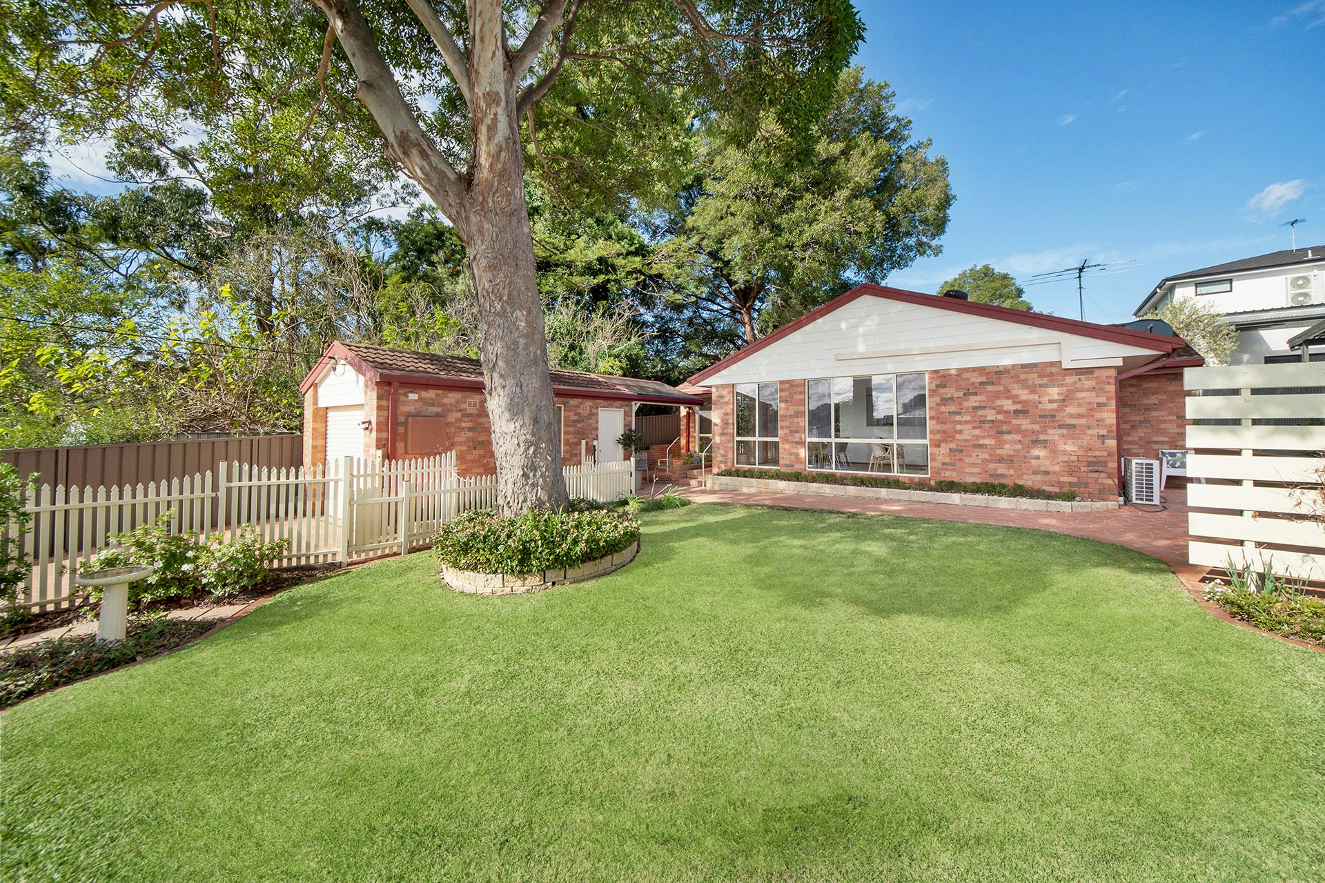 Image of backyard