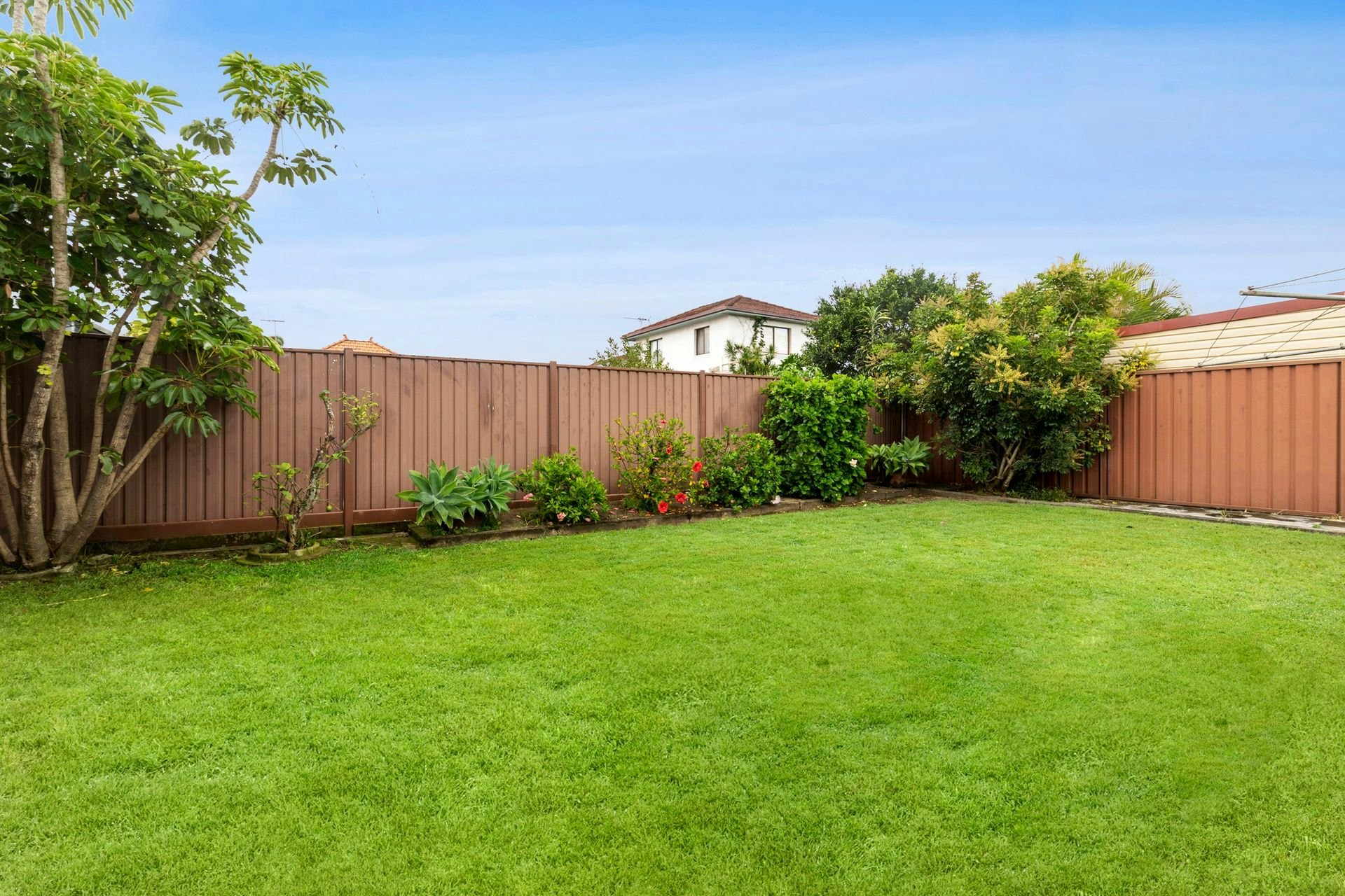 Image of backyard
