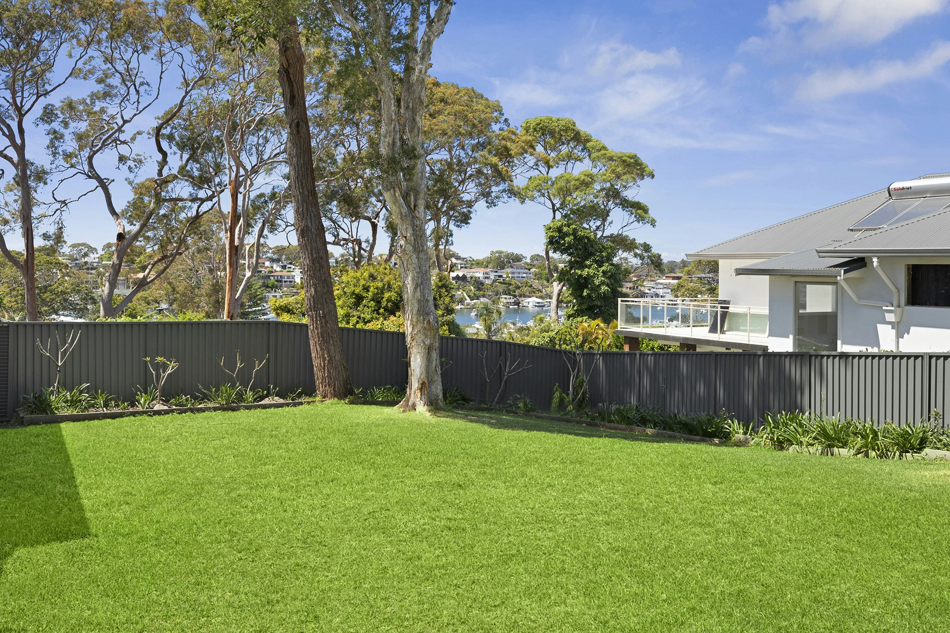 Image of backyard