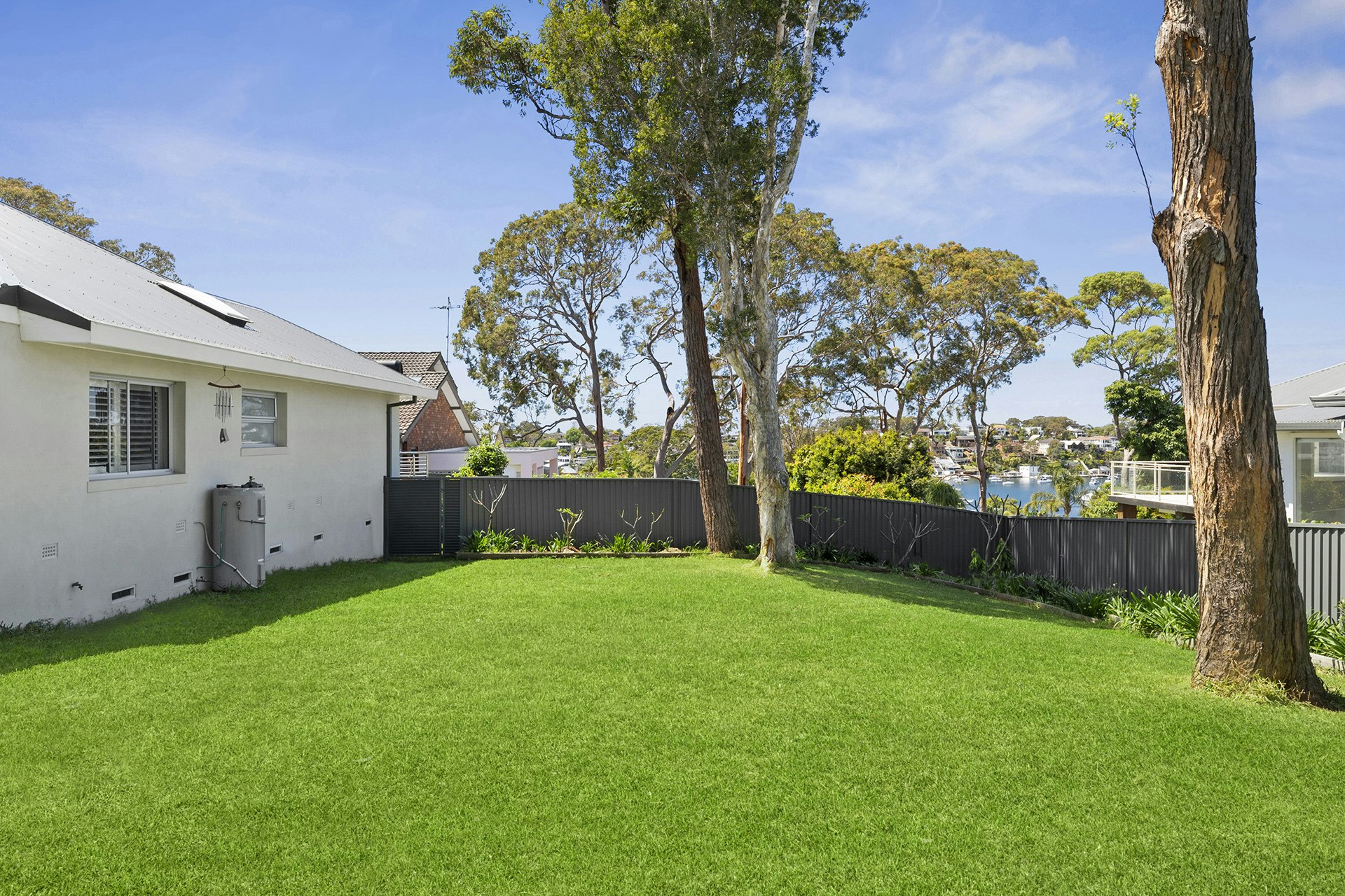 Image of grass