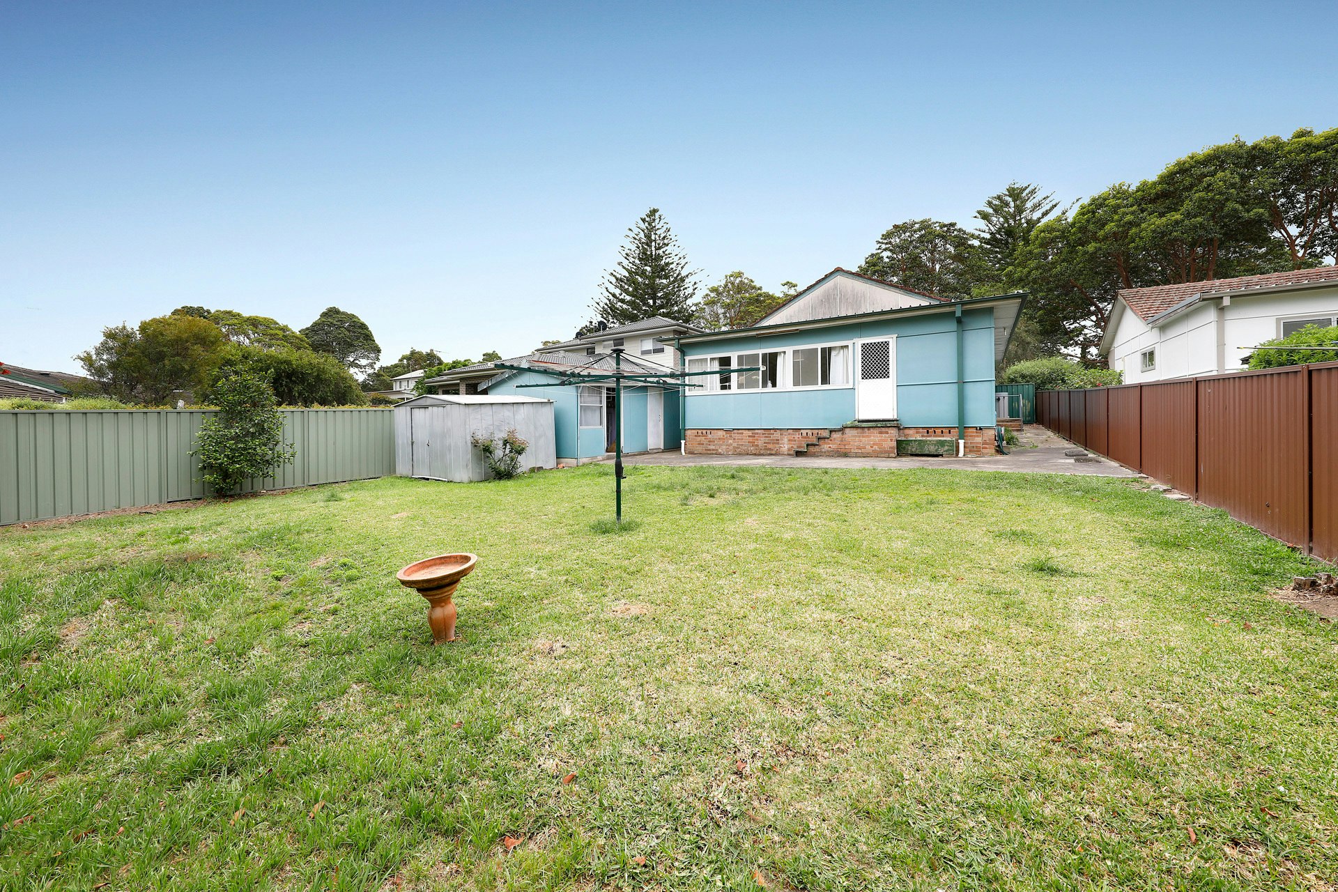 Image of backyard