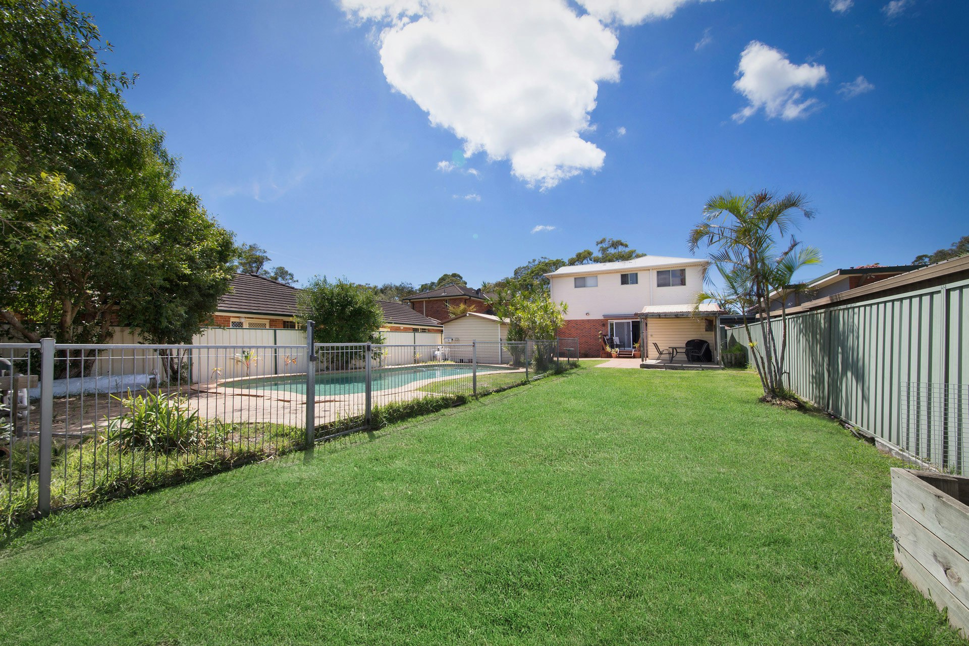 Image of backyard