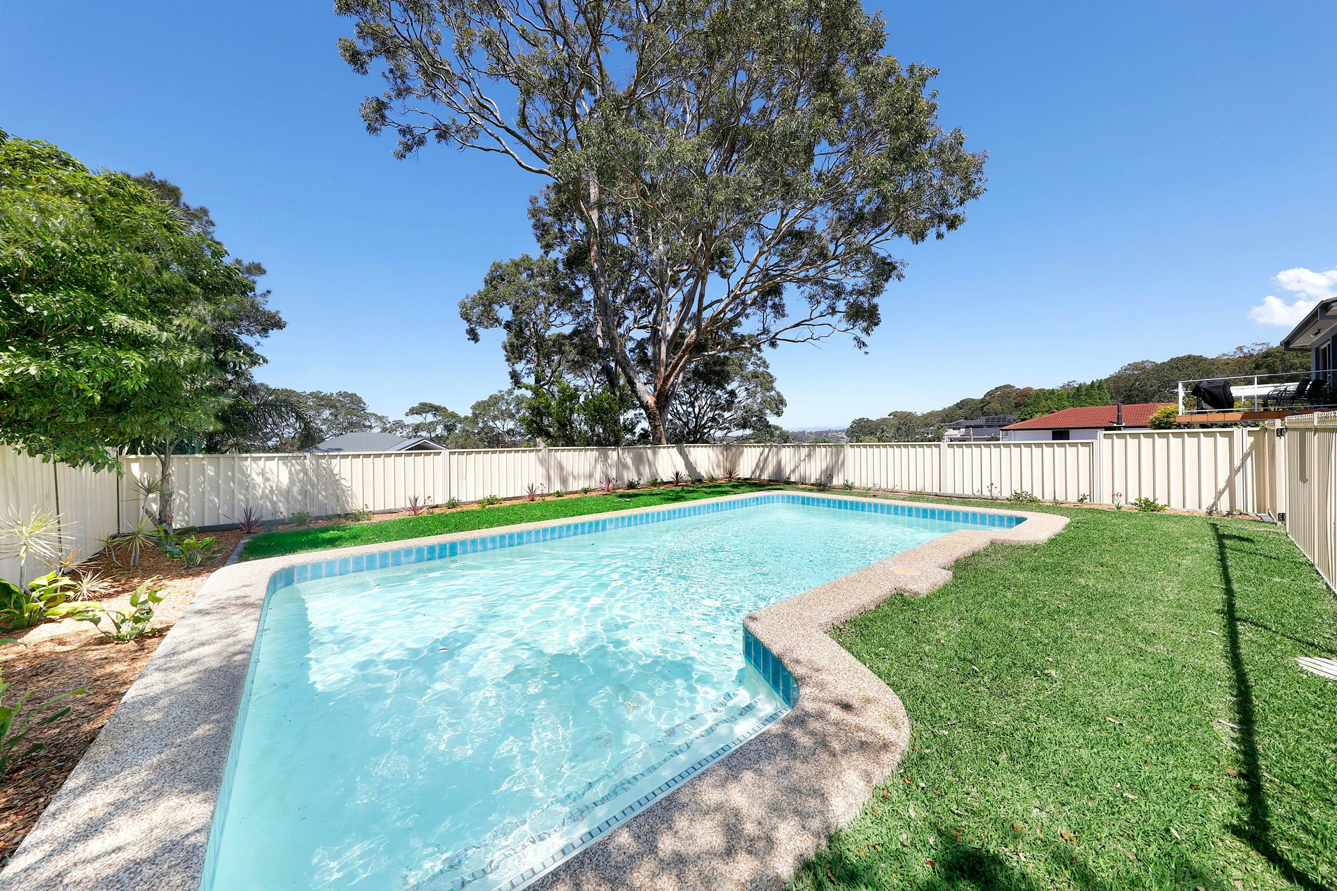 Image of backyard