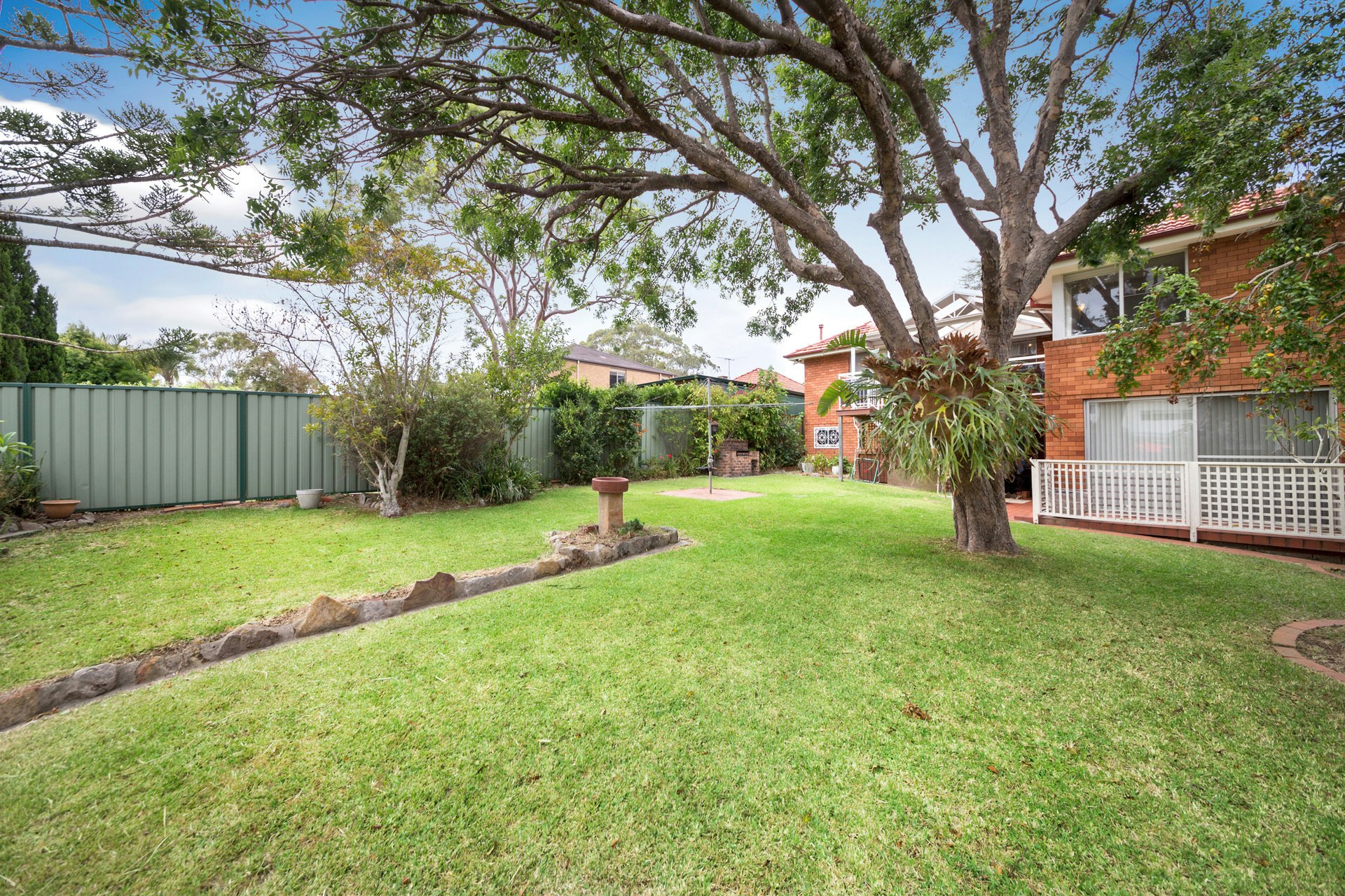 Image of backyard