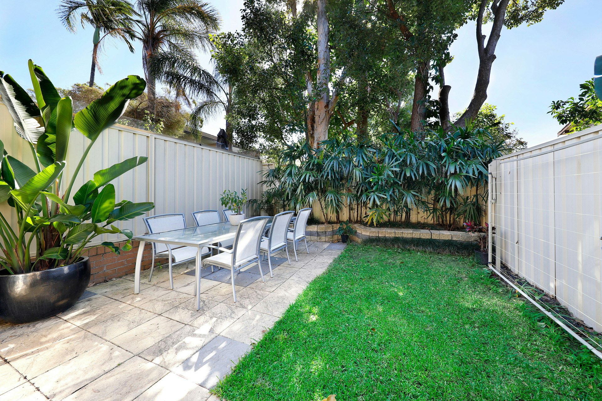 Image of backyard