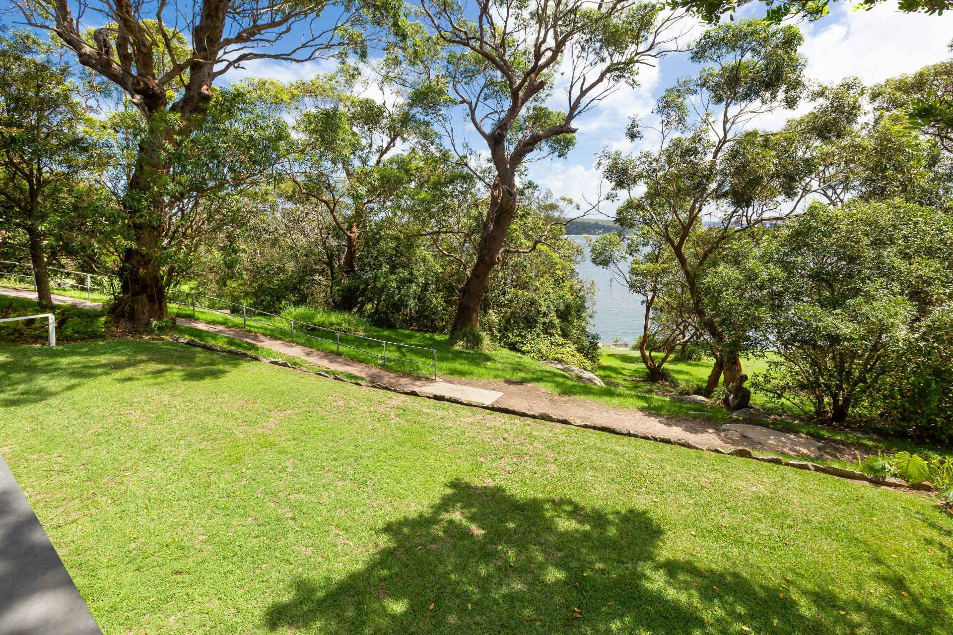 Image of grass