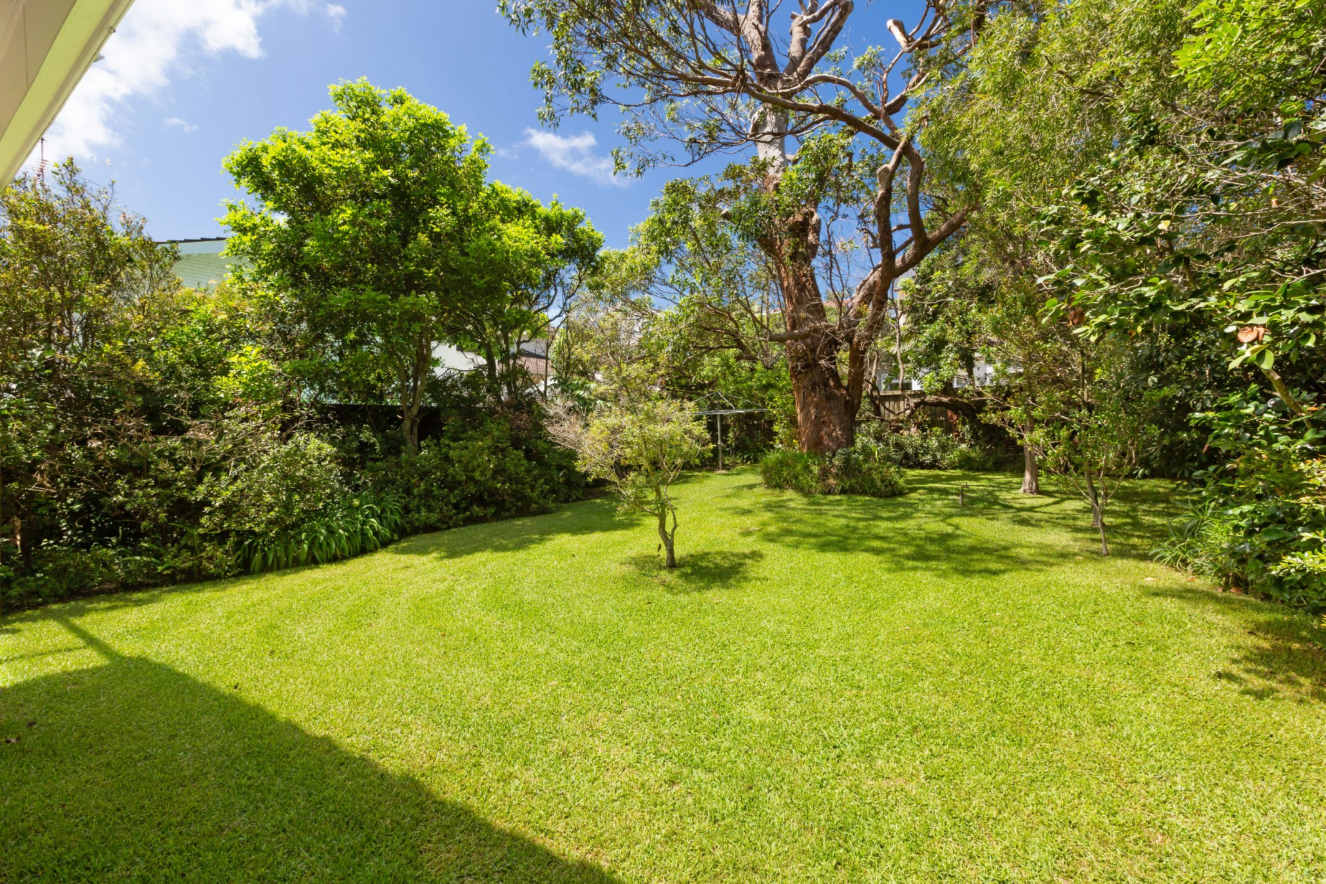 Image of grass