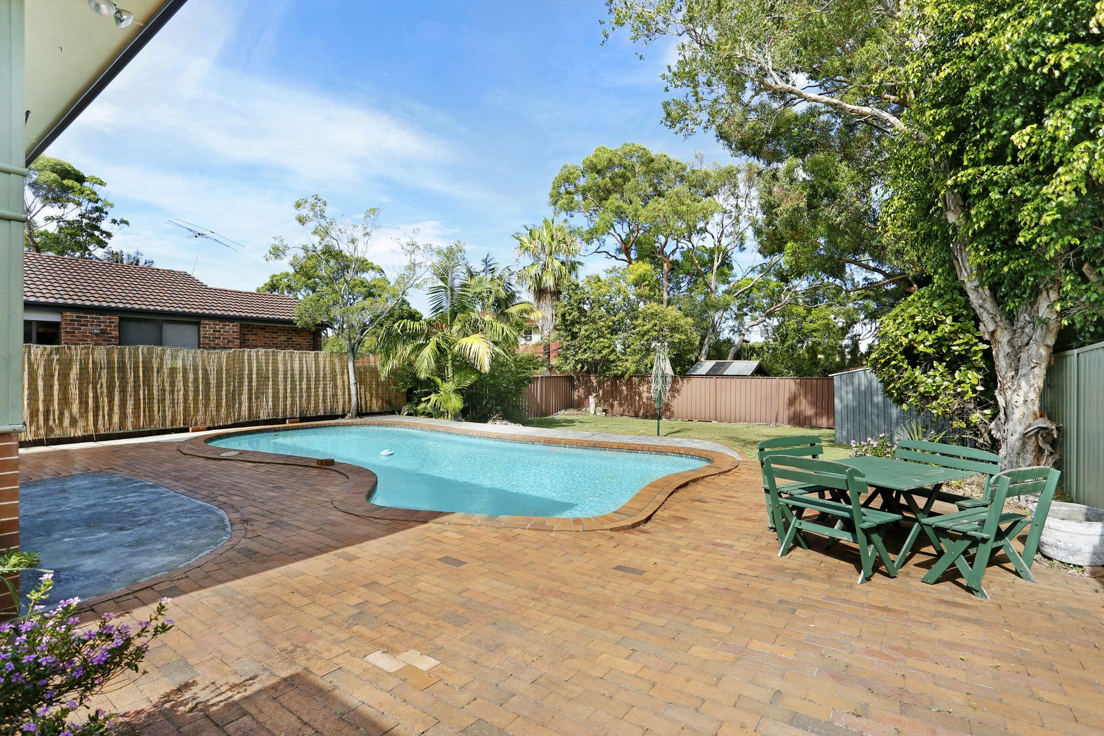 Image of backyard