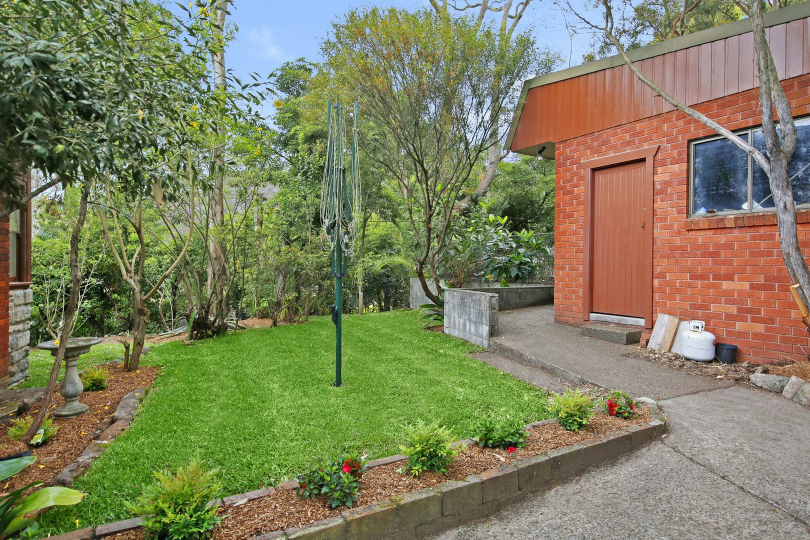 Image of backyard