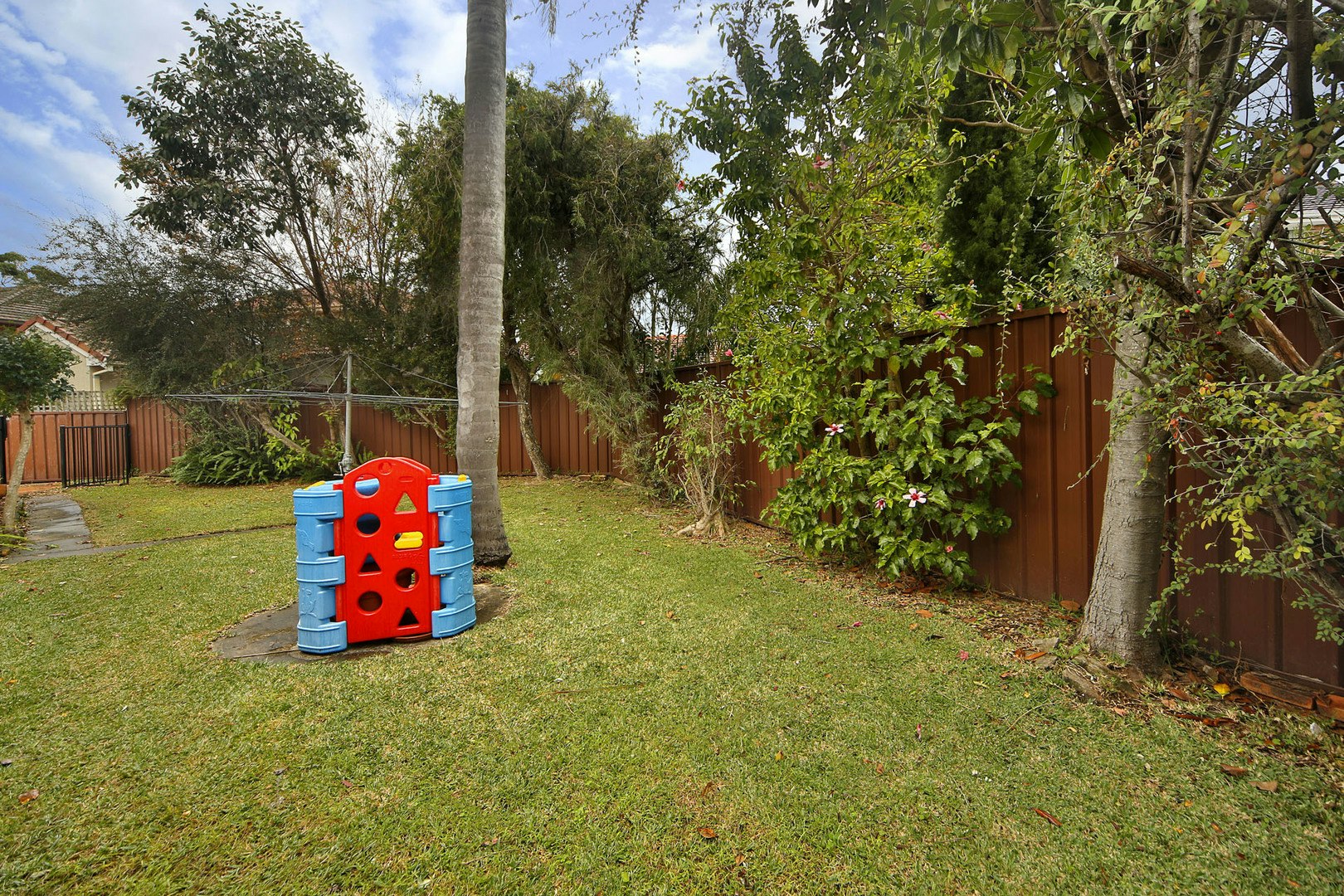 Image of backyard