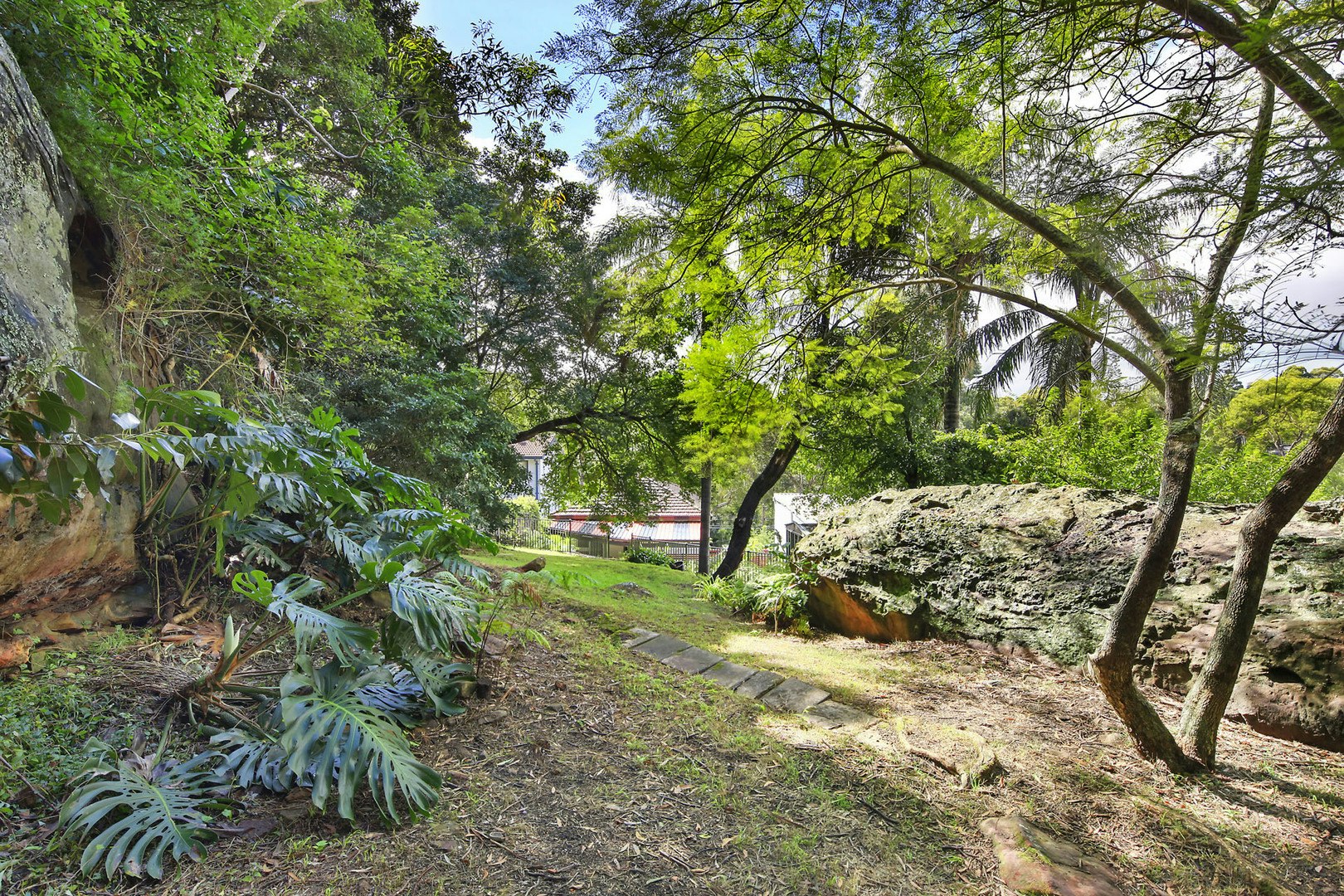 Image of tree