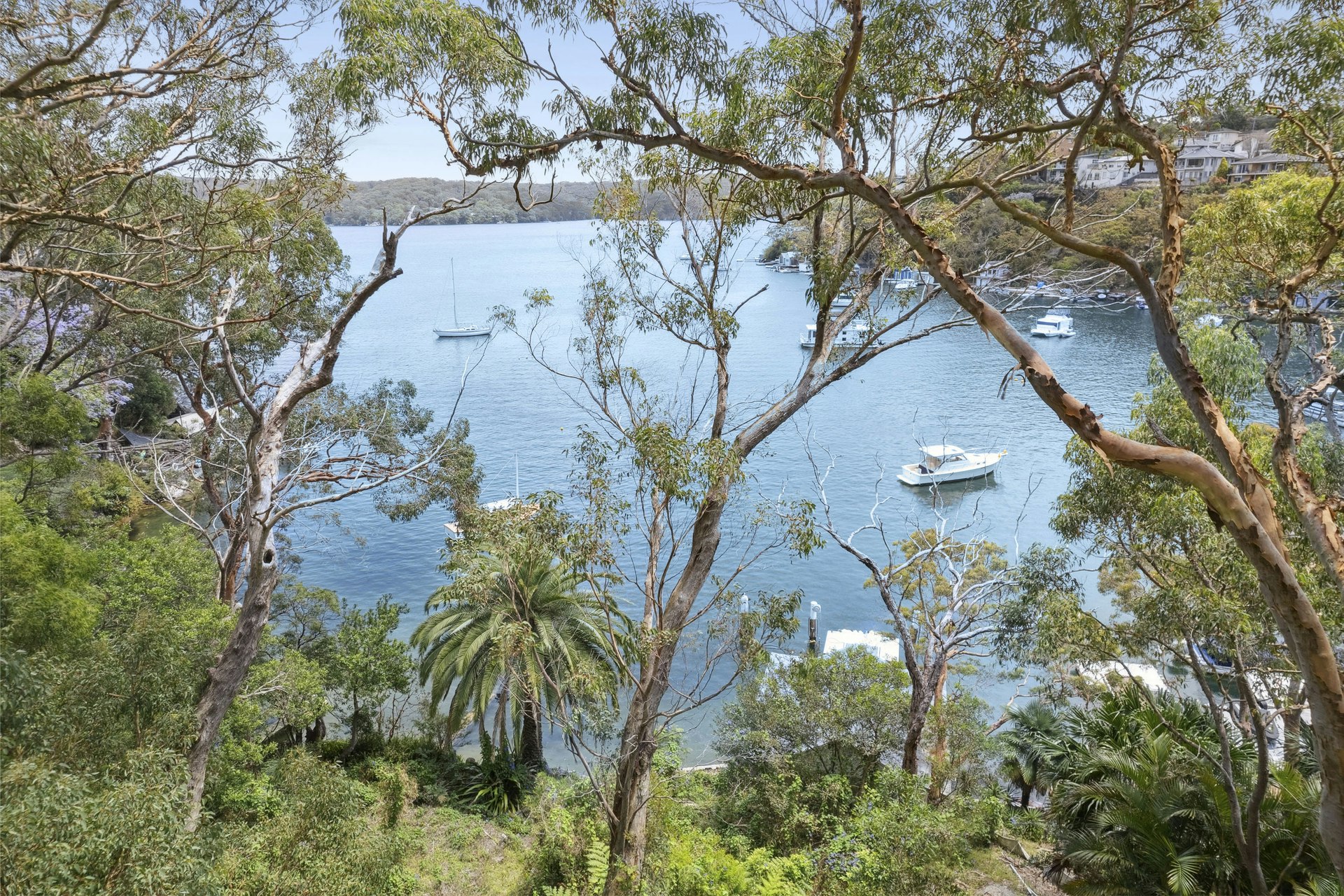 Image of summer