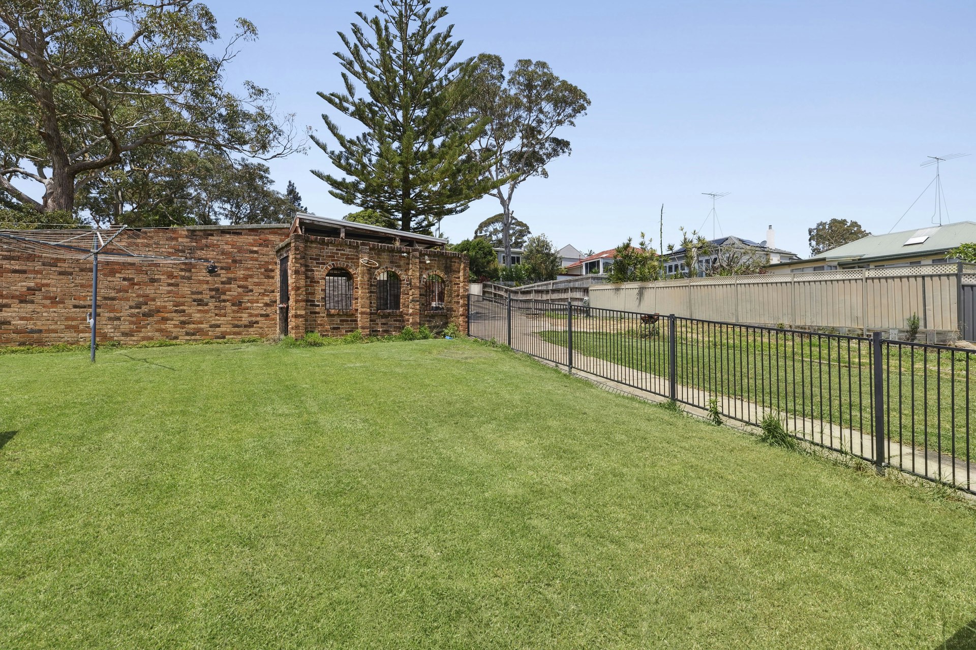 Image of backyard