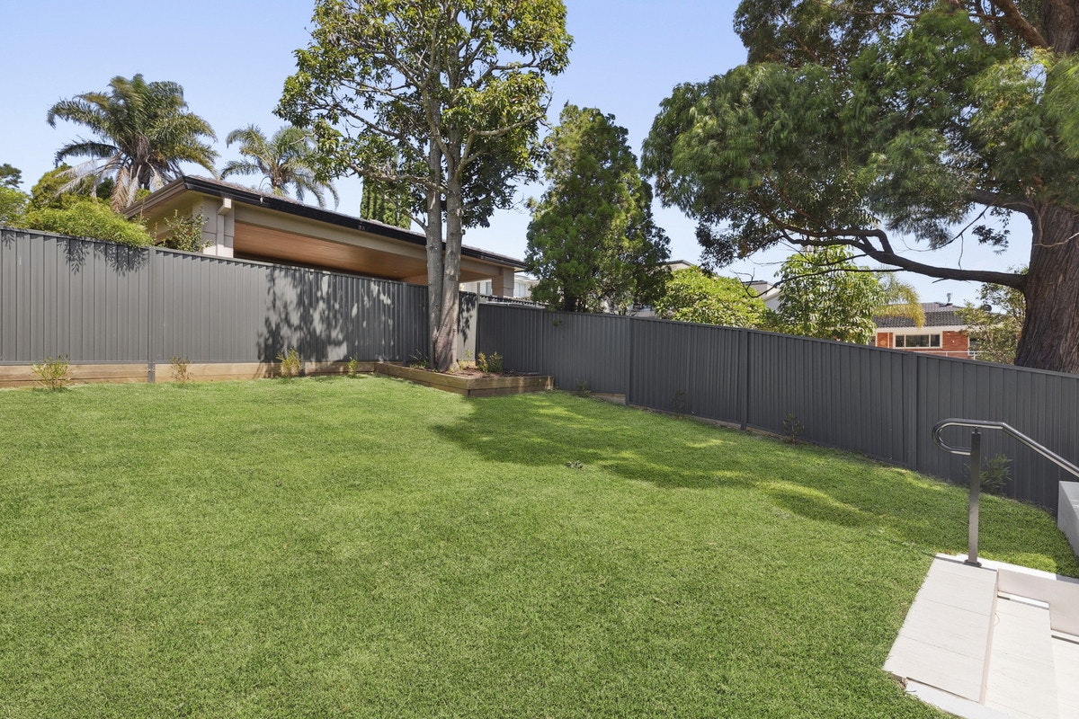 Image of backyard
