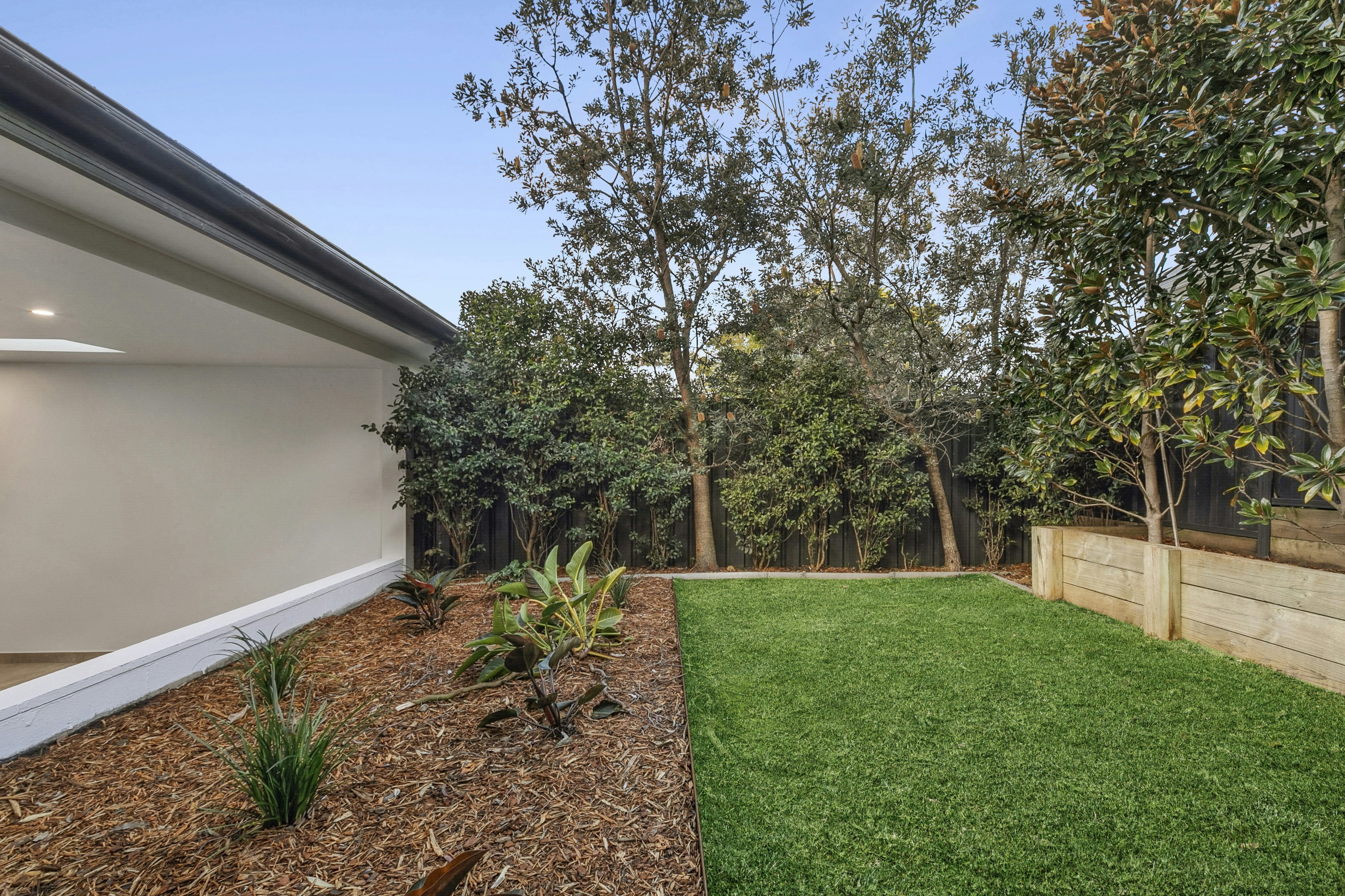 Image of backyard