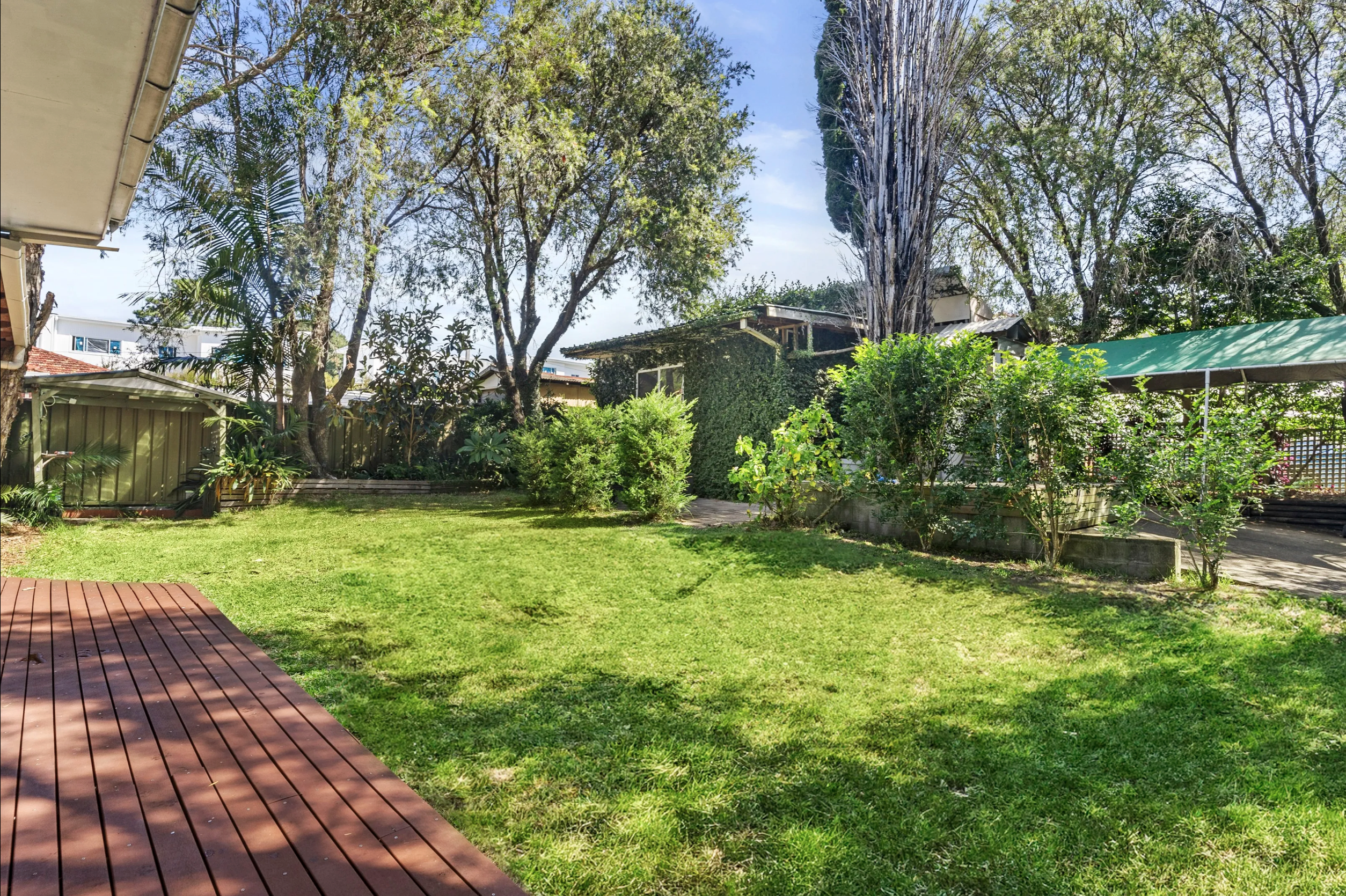 Image of backyard