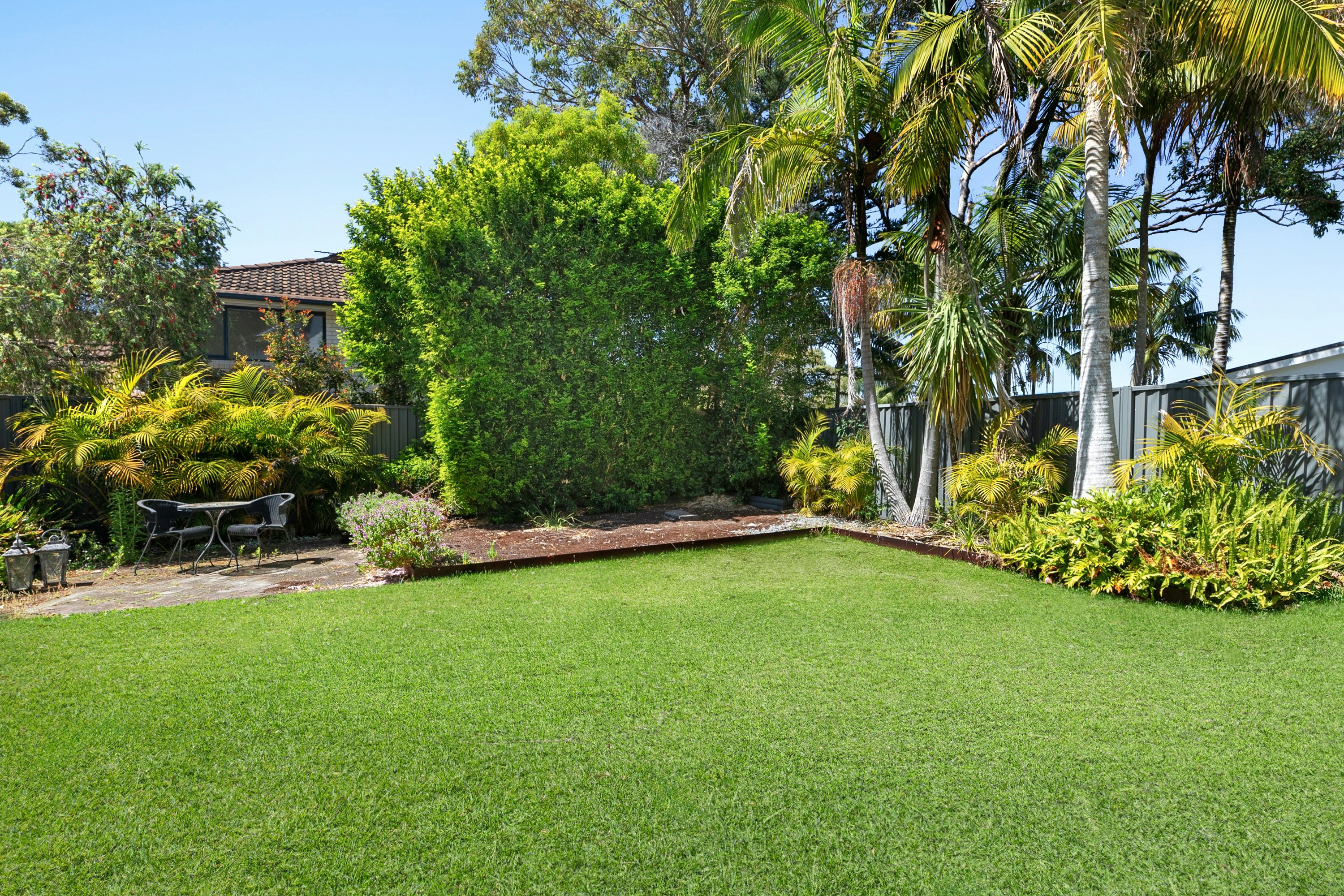 Image of backyard