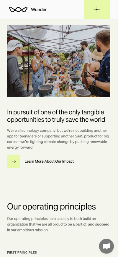 Screenshot advertisement