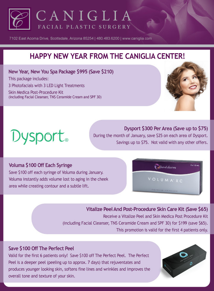 January 2017 Newsletter