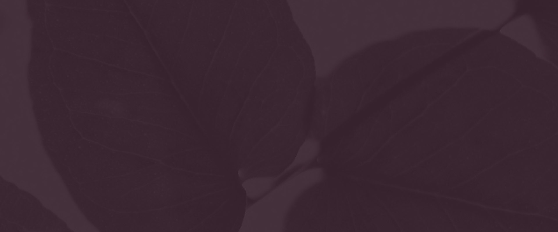 Banner media