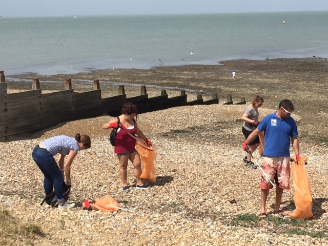 People beach cleaning