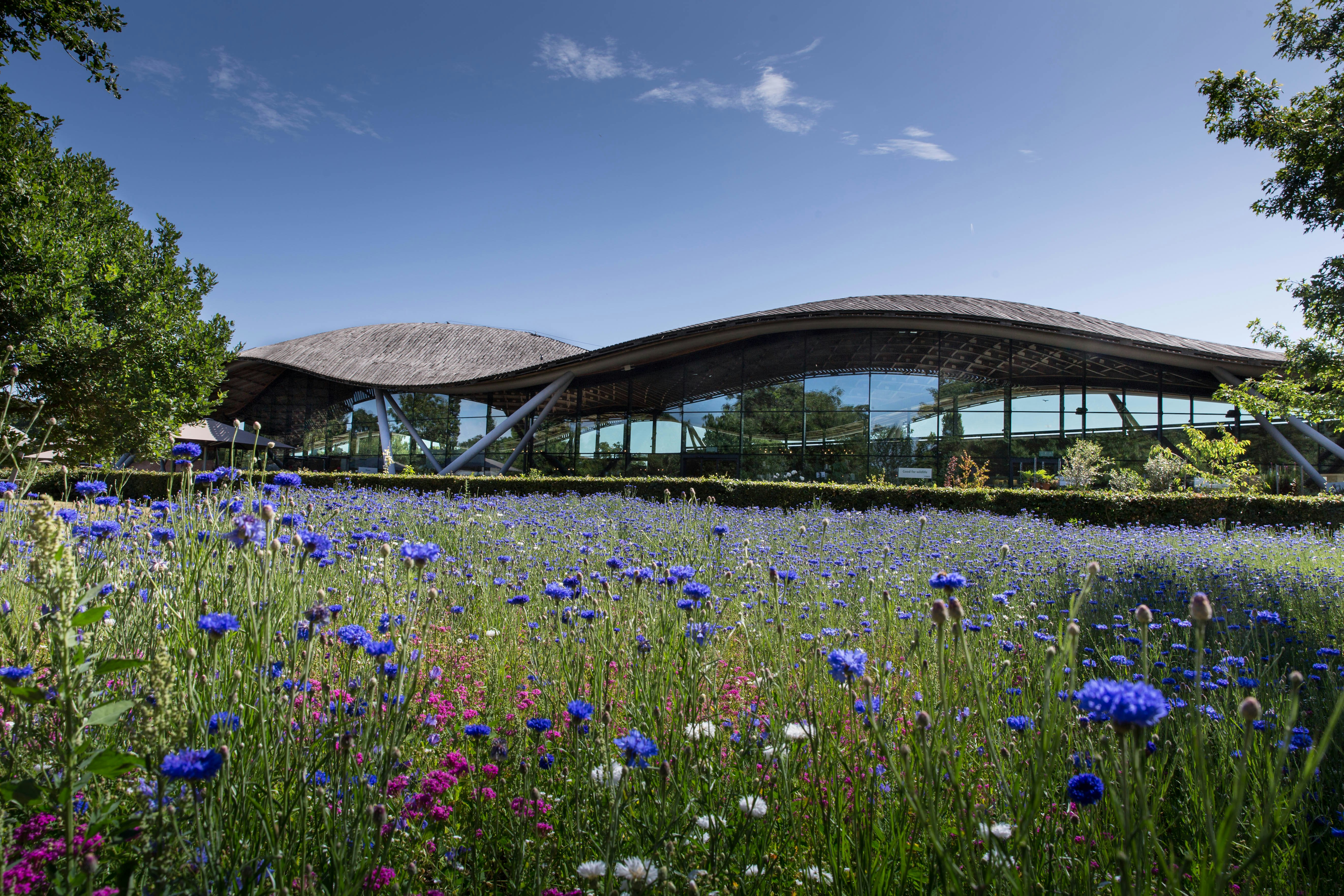 Savill Garden Building with wild flowers in the foreground