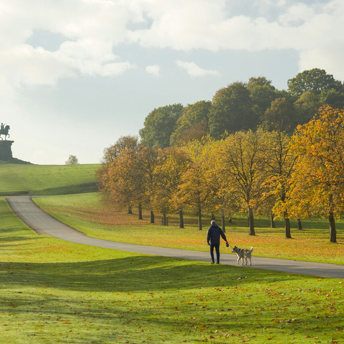 Man walking dog in country park with trees in background