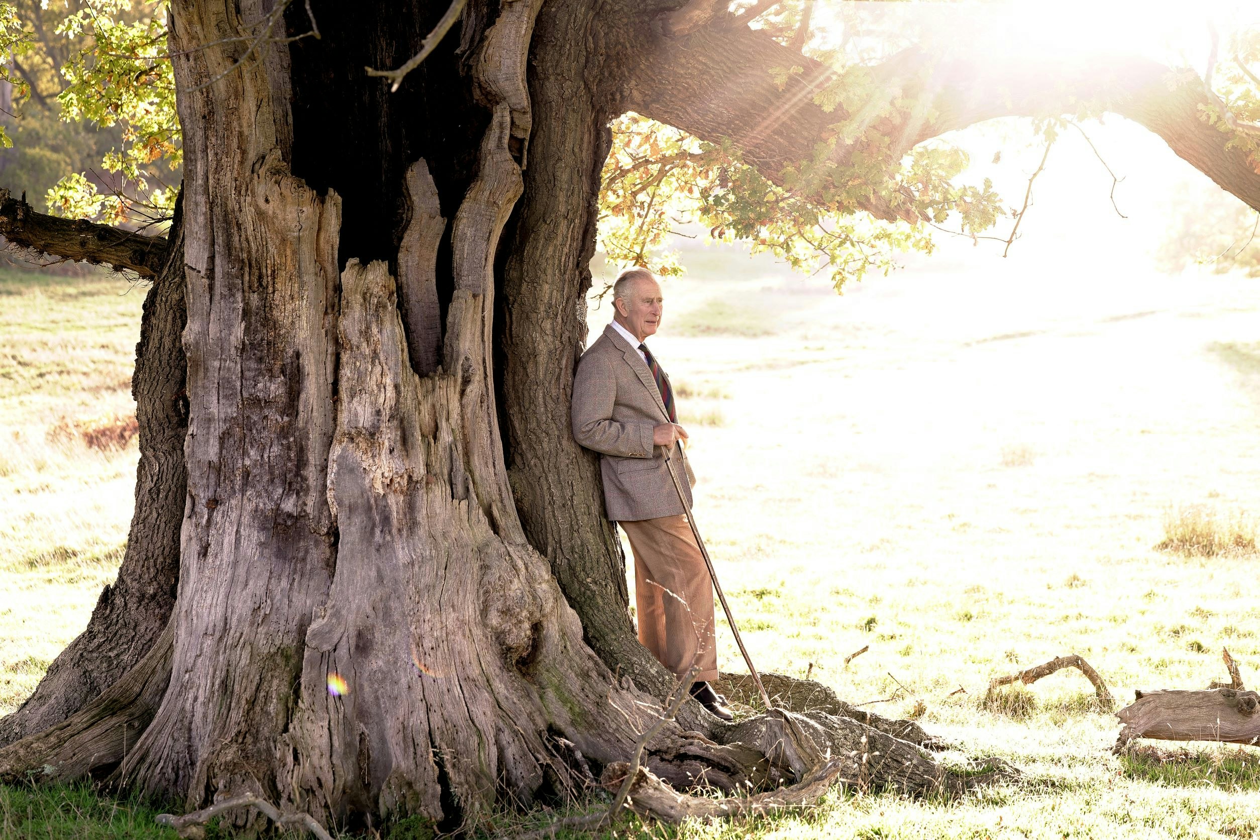 His Majesty The King standing by a tree
