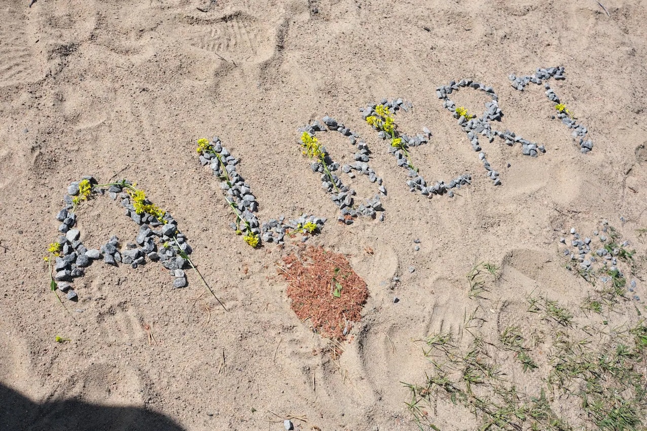 Albert spelled out in stones