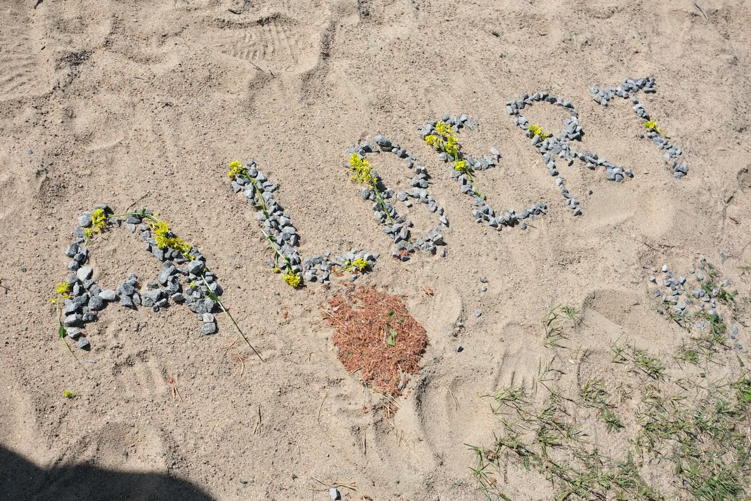Albert spelled out in stones