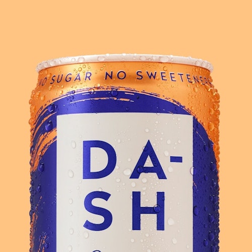 Dash Water Logo