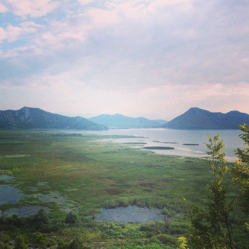 Lake Scadar in Montenegro