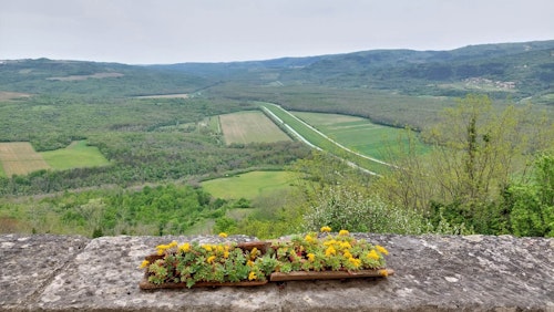 Nice view point found during road trip to Istria, Croatia with a camper van