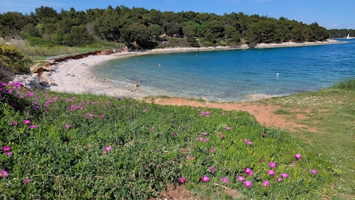 Beautiful beach on Kamenjak peninsula visited with a camper van