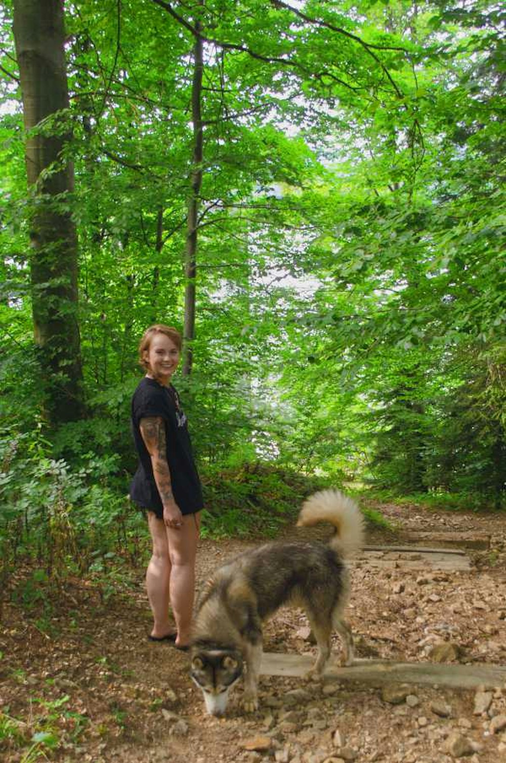 Dog friendly camper vans from Balkan Campers