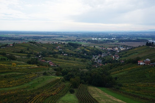 beautiful view from Lendava vinarium