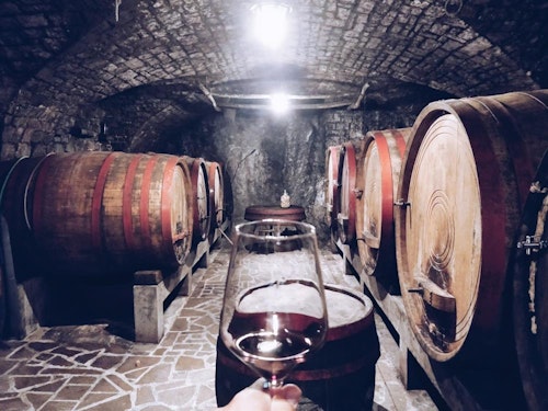 Balkan Campers customers wine tasting in Vipava, Slovenia