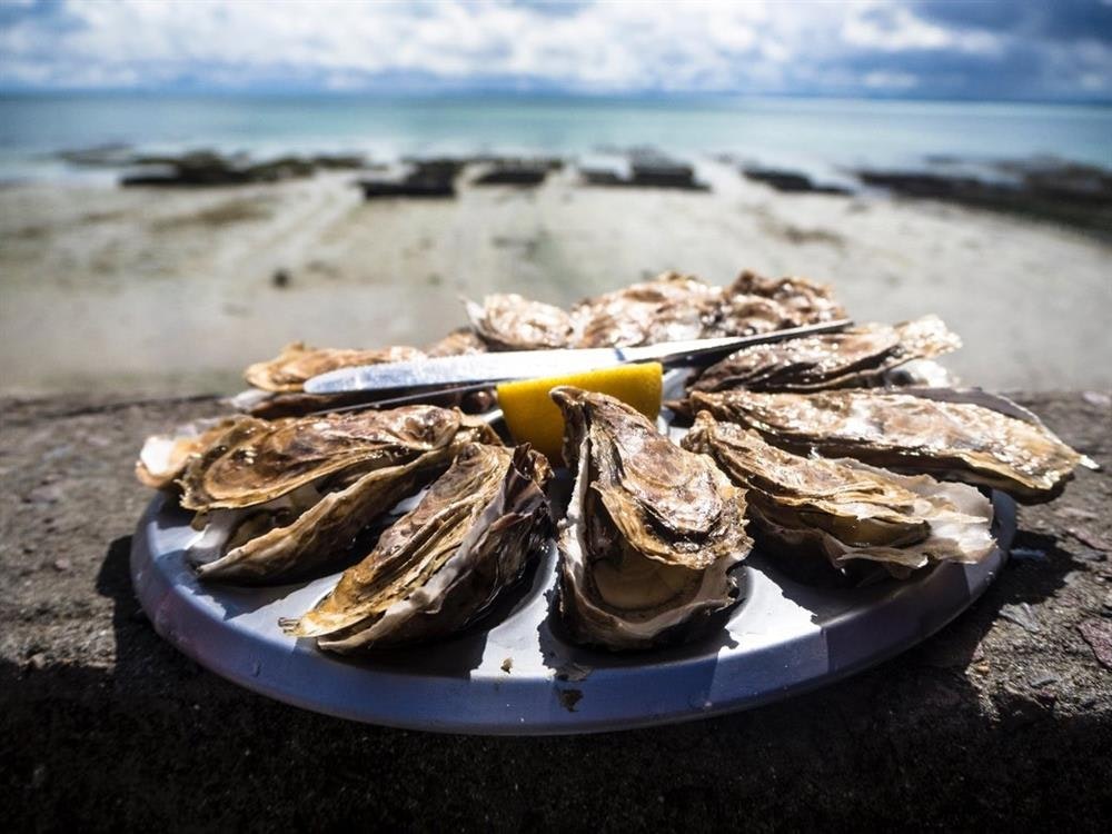 Oyster festival in Ston, Croatia
